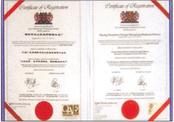 ISO 9001