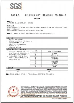 SGS Test Report
